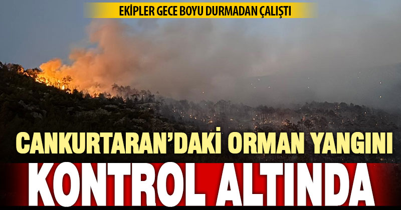 Cankurtaran’daki orman yangını ‘büyük ölçüde’ kontrol altına alındı