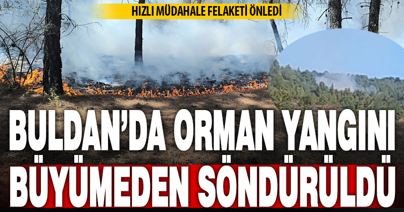 Buldan’da çıkan orman yangını kısa sürede kontrol altına alındı