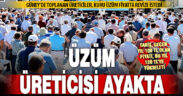 Denizli’de üzüm üreticileri ayakta: Fiyatlar yeniden belirlensin