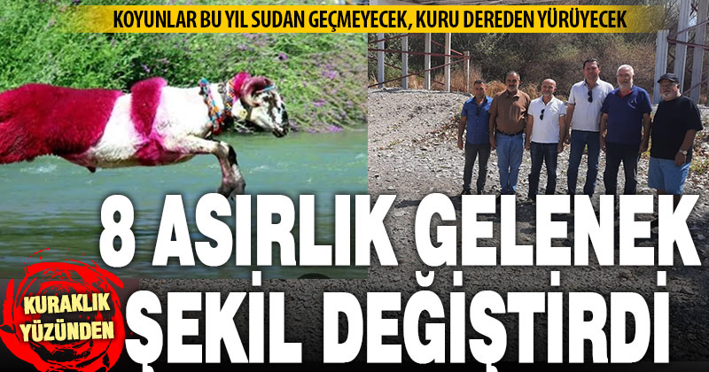 Kınalı koçlar, suya atlamayıp kuru dereden geçerek kuraklığa dikkat çekecek