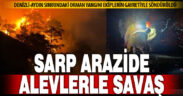 Aydın – Denizli sınırında çıkan orman yangını kontrol altına alındı