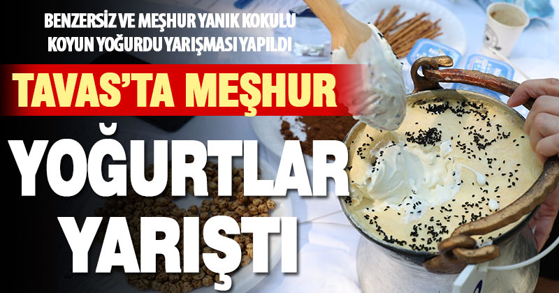 Tavas’ın meşhur yanık kokulu koyun yoğurdunun en iyileri yarışmayla belirlendi