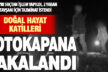 Denizli’de 3 kaçak avcı gece avında fotokapanla yakalandı