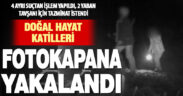 Denizli’de 3 kaçak avcı gece avında fotokapanla yakalandı