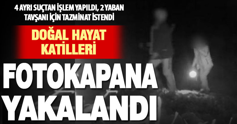 Denizli’de 3 kaçak avcı gece avında fotokapanla yakalandı