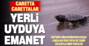 Caretta Carettaların mavi yolculuğu yerli uydu ile başladı