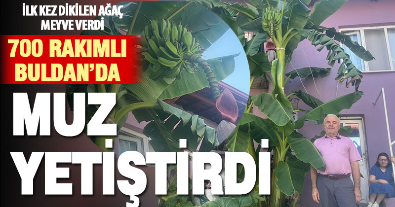 Buldanlı dokumacı, 700 rakımda muz yetiştirdi