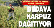 Ürünü para etmeyen çiftçi, bedavaya karpuz dağıtıyor
