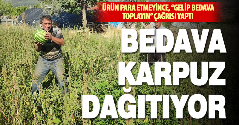 Ürünü para etmeyen çiftçi, bedavaya karpuz dağıtıyor