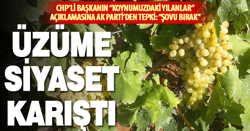 Üzüm kenti Çal’da siyasetçiler fiyat üzerinden polemiğe girdi: Koynumuzdaki yılanlar