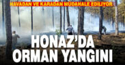 Honaz’daki orman yangınına karadan ve havadan müdahale ediliyor