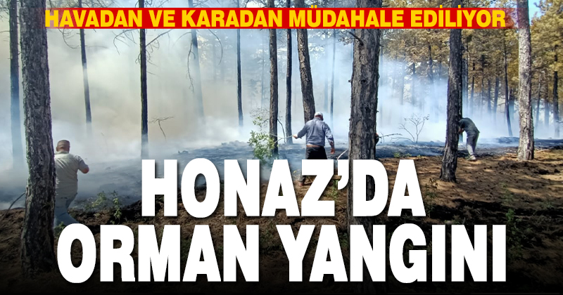 Honaz’daki orman yangınına karadan ve havadan müdahale ediliyor