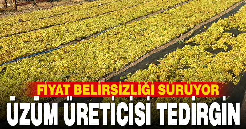 Üzümde fiyat belirsizliği hem üreticiyi hem de çalışanları tedirgin ediyor