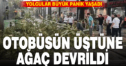 Belediye otobüsünün üzerine ağaç düştü, faciadan dönüldü