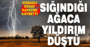 Yağmurda sığındığı ağacaca yıldırım düşen esnaf hayatını kaybetti