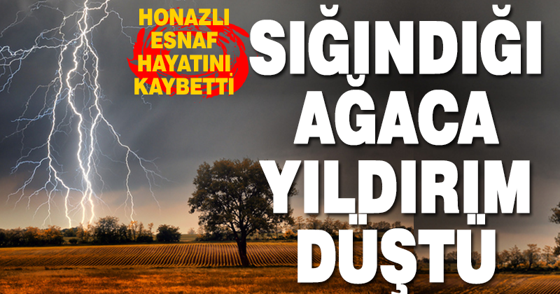 Yağmurda sığındığı ağacaca yıldırım düşen esnaf hayatını kaybetti