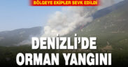 Denizli’de orman yangını