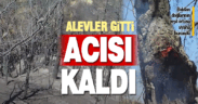 Dağların yeşil örtüsü siyaha büründü