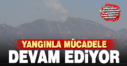 Orman Genel Müdürü Karacabey: “Yangın güney ve kuzey hatlarında yoğunlaşıyor”