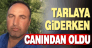 Traktör kazasında yaralanan sürücü kurtarılamadı