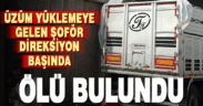 Üzüm yüklemeye geldi, yaşamını yitirdi