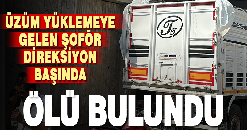 Üzüm yüklemeye geldi, yaşamını yitirdi